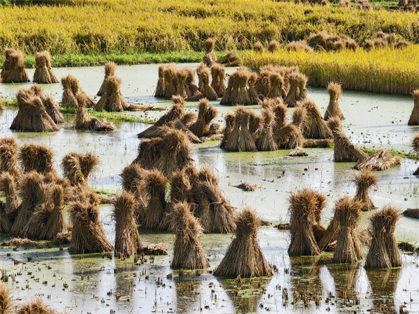 风景3.jpg