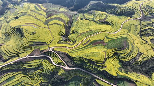风景4.jpg